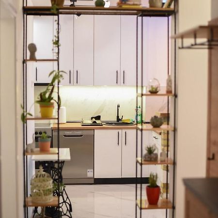Garden Apartment - Oaza U Centru Grada Novi Sad Esterno foto