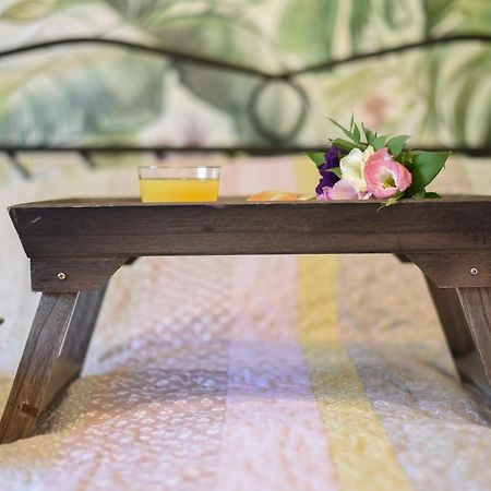 Garden Apartment - Oaza U Centru Grada Novi Sad Esterno foto