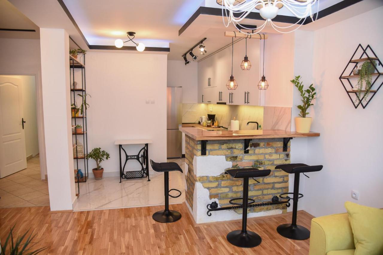 Garden Apartment - Oaza U Centru Grada Novi Sad Esterno foto