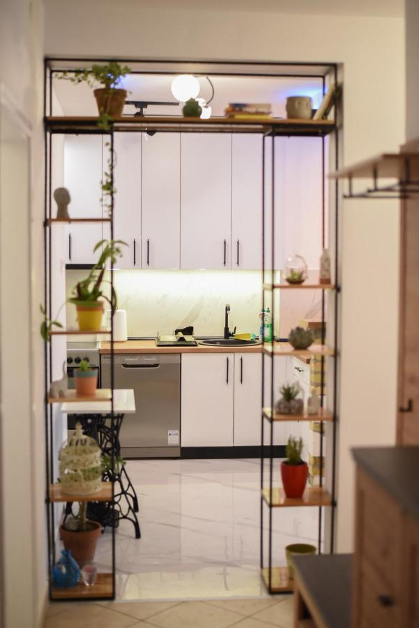Garden Apartment - Oaza U Centru Grada Novi Sad Esterno foto
