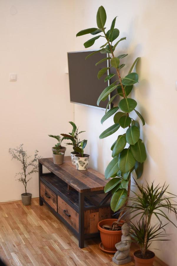 Garden Apartment - Oaza U Centru Grada Novi Sad Esterno foto
