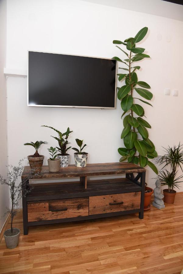 Garden Apartment - Oaza U Centru Grada Novi Sad Esterno foto