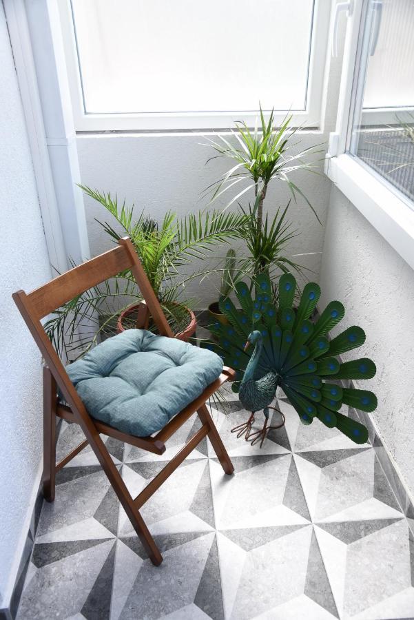 Garden Apartment - Oaza U Centru Grada Novi Sad Esterno foto